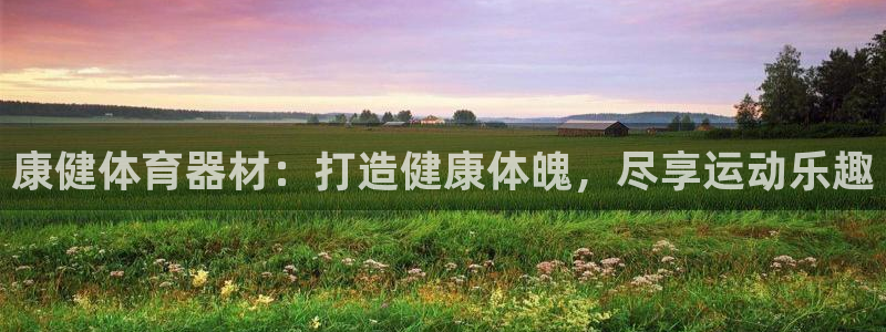 尊龙凯时白家乐Abb下载：康健体育器材：打造健康体魄