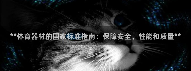 尊龙集团有限公司是国企吗：**体育器材的国家标准指南