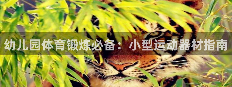 尊龙凯时链接：幼儿园体育锻炼必备：小型运动器材指南