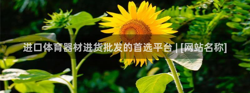 尊龙凯时公司官网：进口体育器材进货批发的首选平台 |