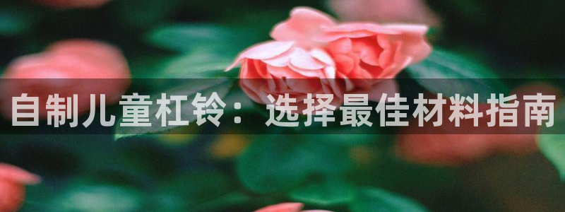 凯时效果怎么样：自制儿童杠铃：选择最佳材料指南