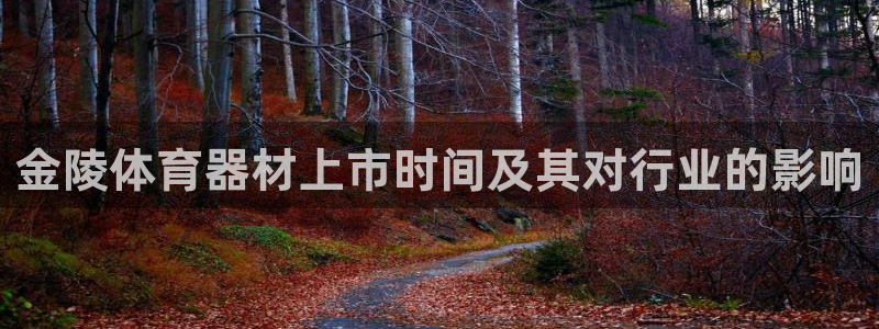 尊龙服饰品牌介绍：金陵体育器材上市时间及其对行业的影