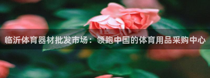 尊龙app下载官网：临沂体育器材批发市场：领跑中国的