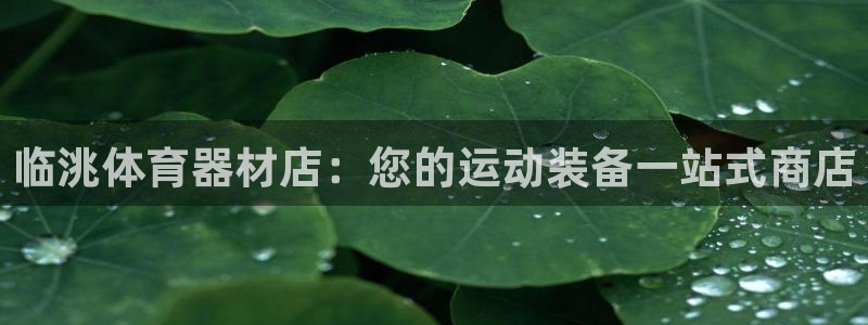 尊龙d88平台版下载：临洮体育器材店：您的运动装备一