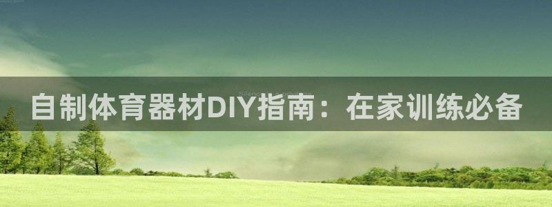尊龙旗舰厅app：自制体育器材DIY指南：在家训练必
