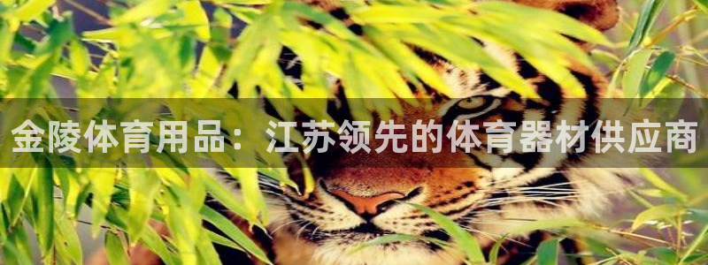 尊龙凯时登入首页：金陵体育用品：江苏领先的体育器材供