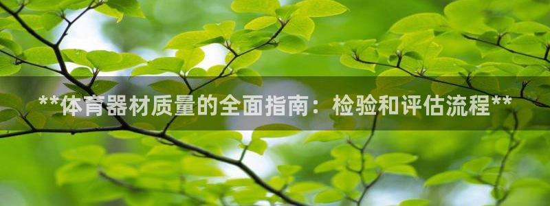尊龙官网/首选kpm：**体育器材质量的全面指南：检