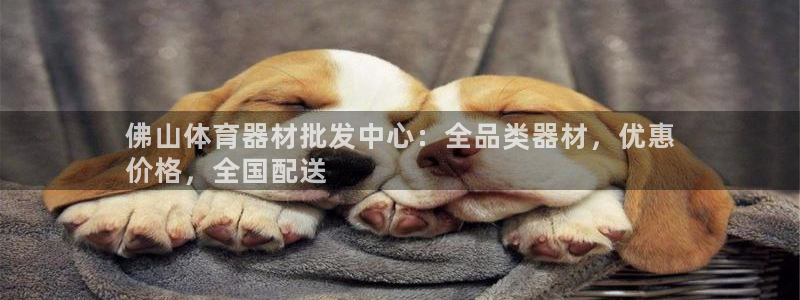 尊龙登录首页：佛山体育器材批发中心：全品类器材，优惠
