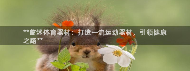 最新凯时官网网址：**临沭体育器材：打造一流运动器材