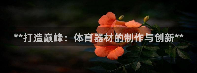 凯时网上官方网站