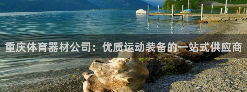 尊龙凯时人生就是博·(中国)官网首页：重庆体育器材公