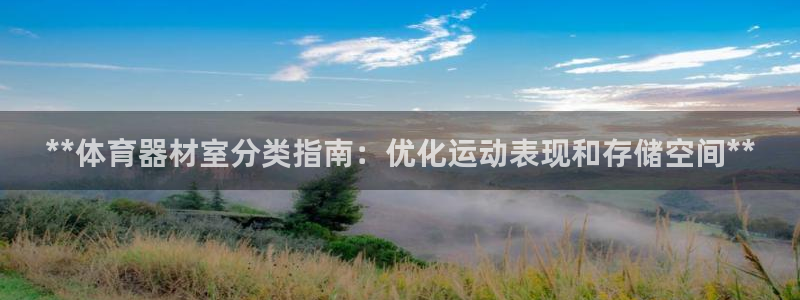尊龙专访：**体育器材室分类指南：优化运动表现和存储