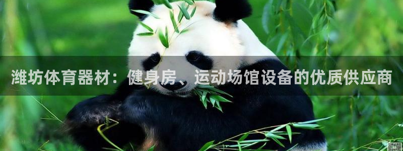 尊龙165：潍坊体育器材：健身房、运动场馆设备的优质