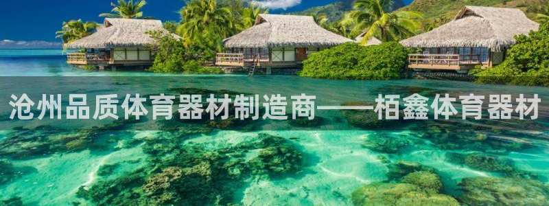 尊龙一人生就是博电子游戏：沧州品质体育器材制造商——