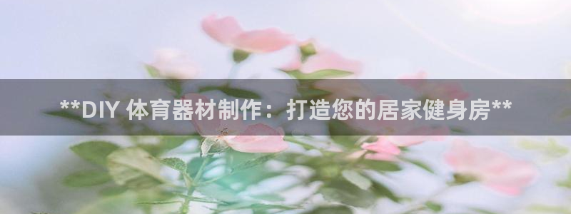 尊龙凯时干什么的：**DIY 体育器材制作：打造您的