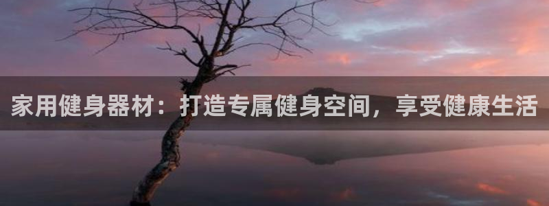 尊龙新版app：家用健身器材：打造专属健身空间，享受