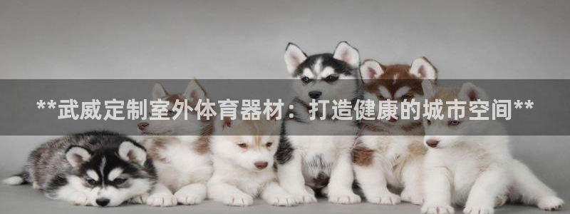 最新凯时官网网址：**武威定制室外体育器材：打造健康