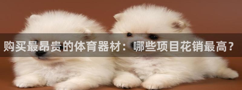 下载尊龙app：购买最昂贵的体育器材：哪些项目花销最