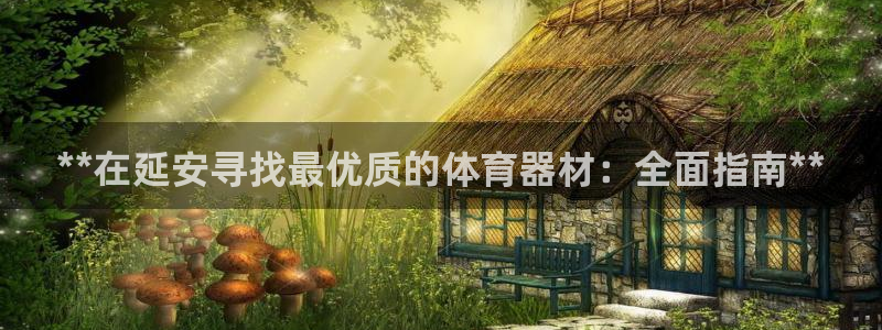 尊龙凯时提不了款：**在延安寻找最优质的体育器材：全