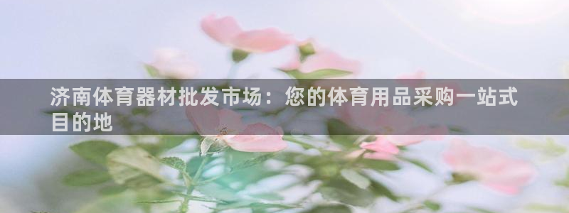 尊龙ag旗舰官网：济南体育器材批发市场：您的体育用品