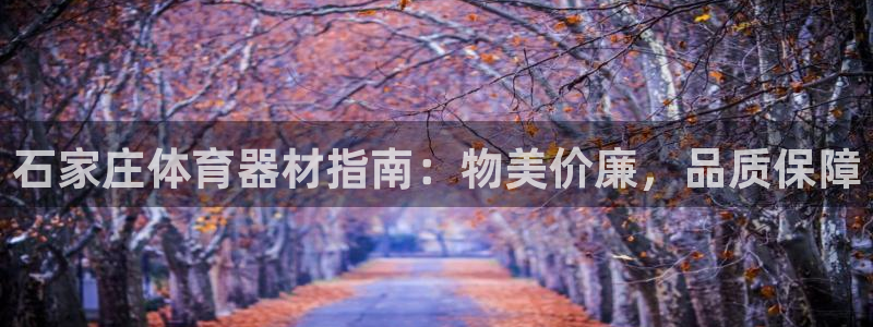尊龙官方网站最新版V9.3.06：石家庄体育器材指南