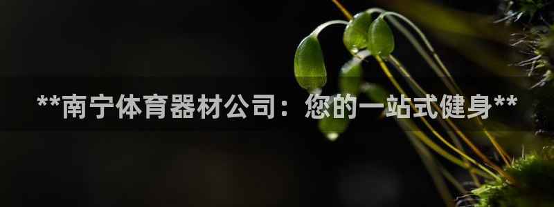 尊龙凯时电竞：**南宁体育器材公司：您的一站式健身*