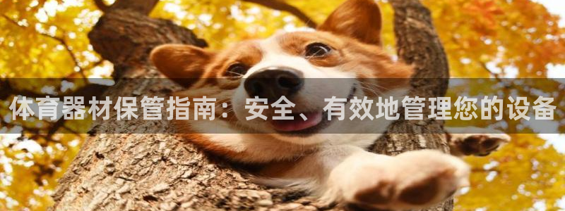 尊龙平台登录：体育器材保管指南：安全、有效地管理您的