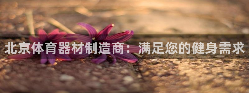 尊龙凯时客服：北京体育器材制造商：满足您的健身需求