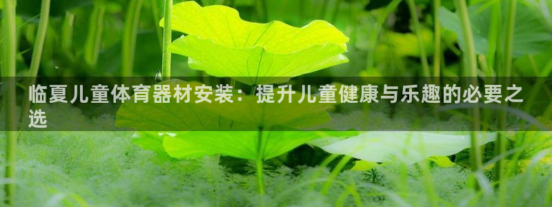尊龙400：临夏儿童体育器材安装：提升儿童健康与乐趣