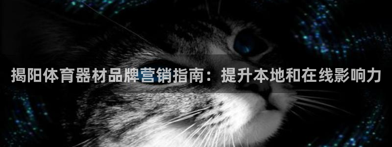 尊龙凯时网娱乐最新版下载：揭阳体育器材品牌营销指南：