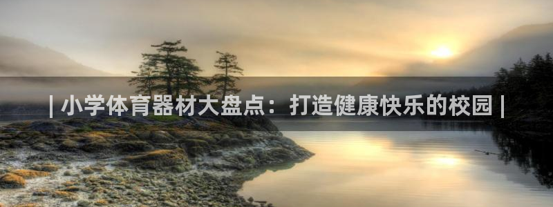 d88尊龙z6：| 小学体育器材大盘点：打造健康快乐