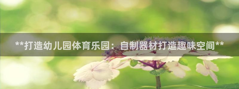 尊龙凯时旗舰厅官网：**打造幼儿园体育乐园：自制器材