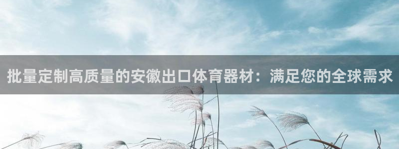 尊龙人生就是博管网：批量定制高质量的安徽出口体育器材