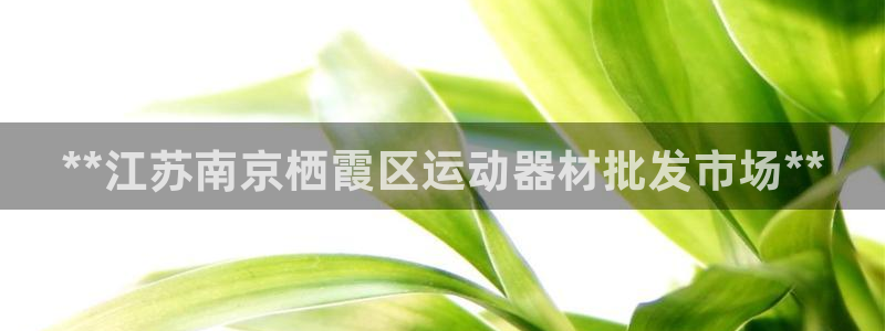 尊龙官方：**江苏南京栖霞区运动器材批发市场**