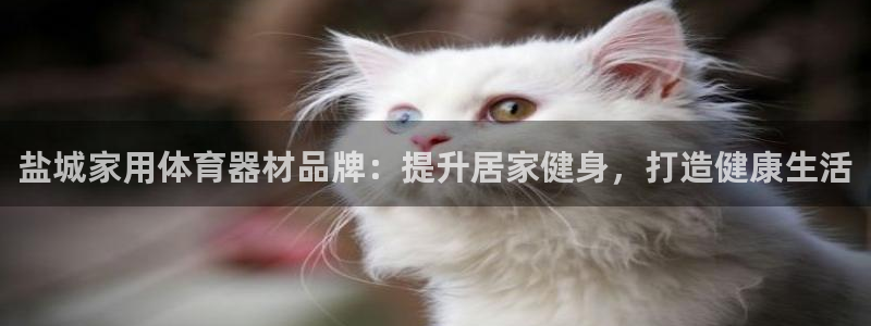 尊龙凯时 - 人生就是搏有假吗：盐城家用体育器材品牌