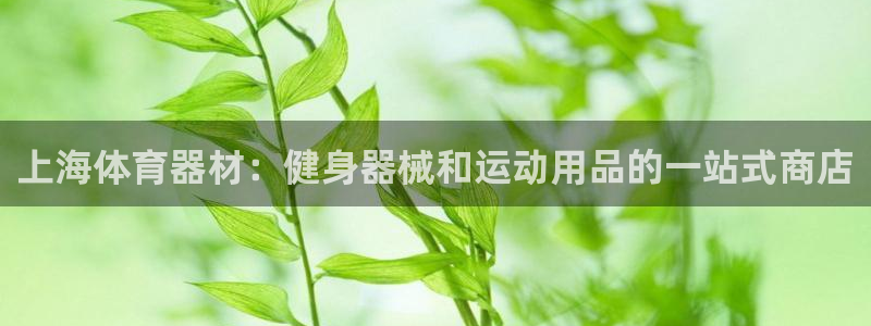 尊龙人生就是博ag：上海体育器材：健身器械和运动用品