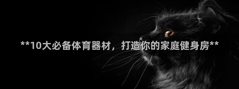 尊龙凯时为什么不封：**10大必备体育器材，打造你的