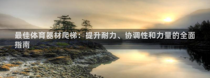尊龙集团有限公司：最佳体育器材爬梯：提升耐力、协调性