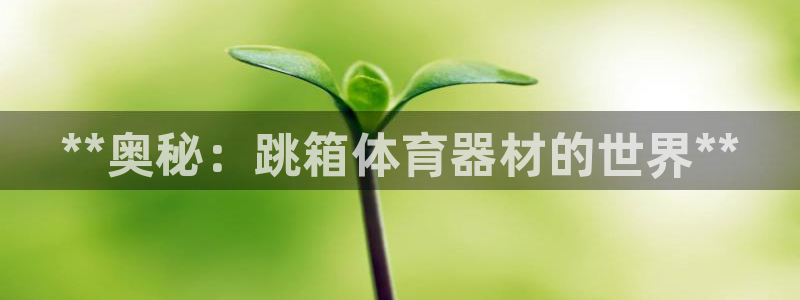 z6尊龙凯时ag旗舰厅：**奥秘：跳箱体育器材的世界