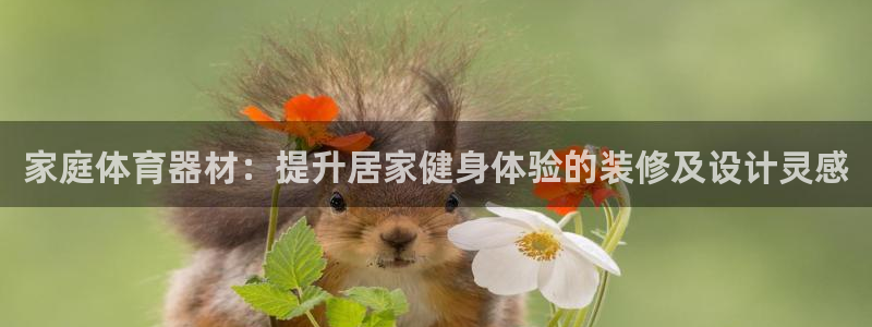 尊龙凯时贴吧：家庭体育器材：提升居家健身体验的装修及