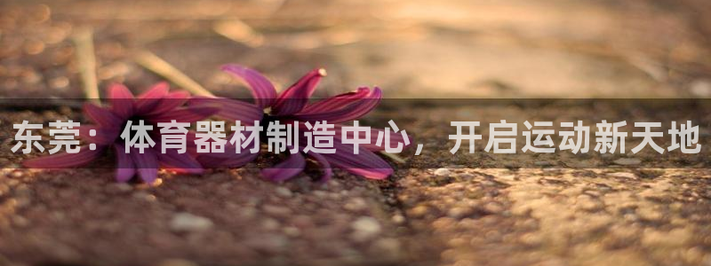 尊龙新版人生就是博!：东莞：体育器材制造中心，开启运