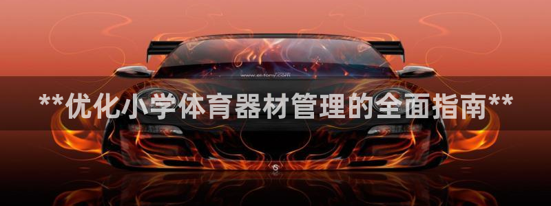 最新凯时官网网址：**优化小学体育器材管理的全面指南