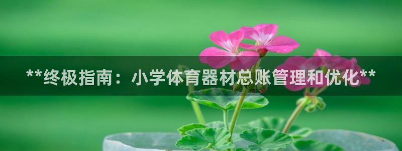 尊龙旗舰店：**终极指南：小学体育器材总账管理和优化