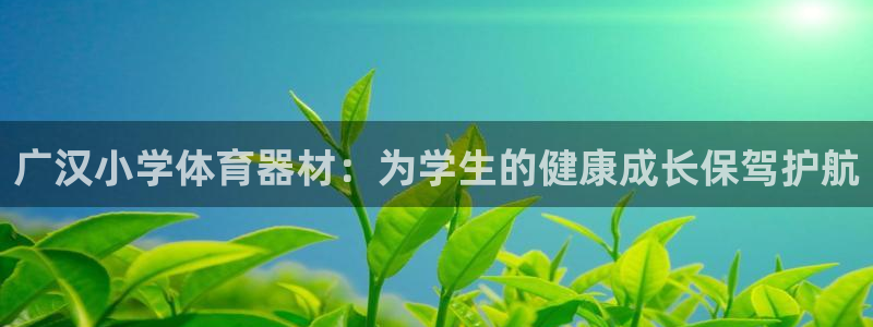 尊龙D88现金旧版：广汉小学体育器材：为学生的健康成