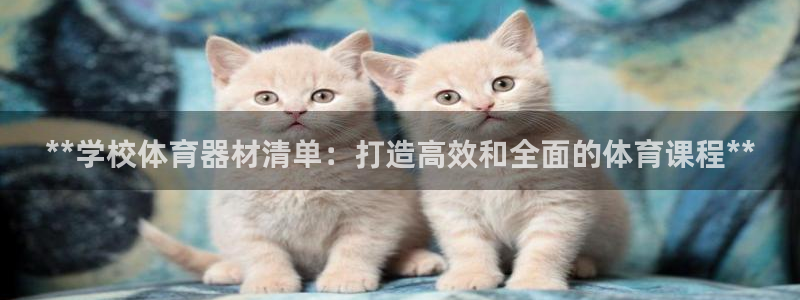 尊龙内地：**学校体育器材清单：打造高效和全面的体育