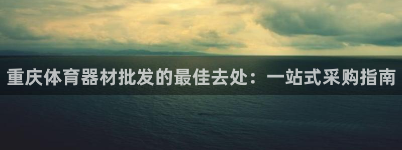 尊龙凯时百家乐手机下载：重庆体育器材批发的最佳去处：