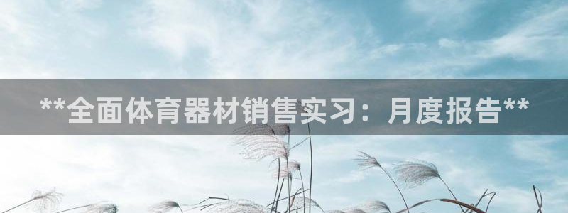 凯时kb88·中国官方网站：**全面体育器材销售实习