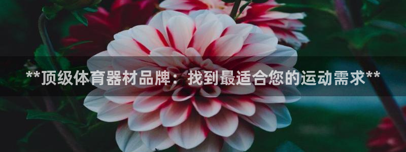 尊龙app注册官网：**顶级体育器材品牌：找到最适合