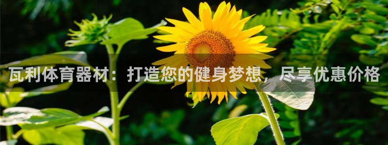 凯时kb88官方：瓦利体育器材：打造您的健身梦想，尽