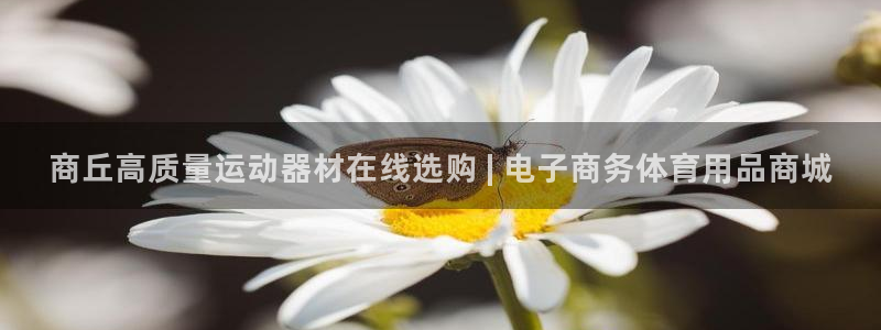 尊龙凯时网站怎么样：商丘高质量运动器材在线选购 | 